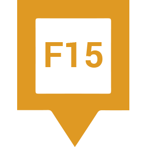 Immagine F15 Immagine F15